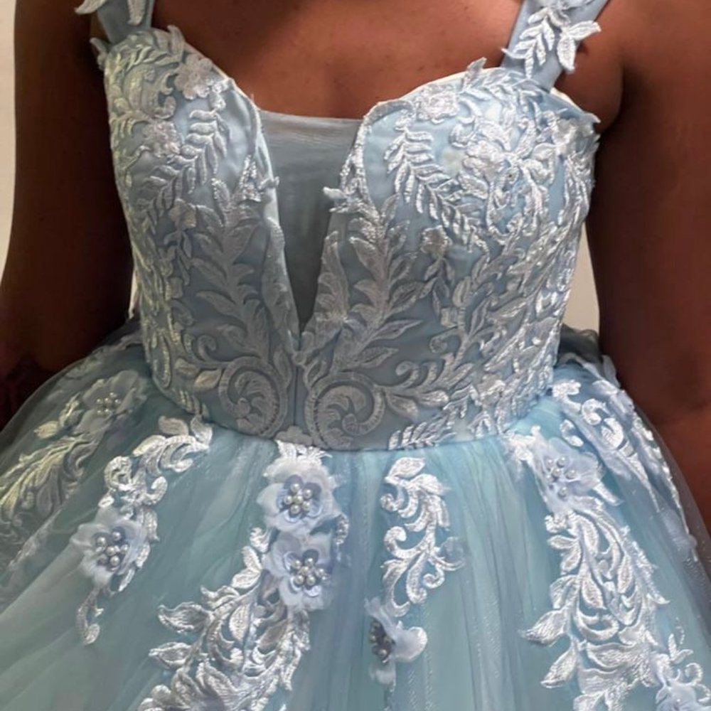 Ball Gown Tulle Off-the-Shoulder Sleeveless Applique Sweep/Brush Train Dresses